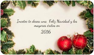 thumbnail_20151222104513_7072_e081a0af-5ba9-4ff1-b55b-eabd559c5f7a